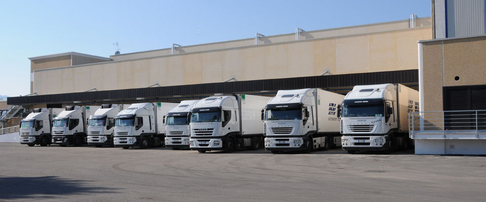Logistica
